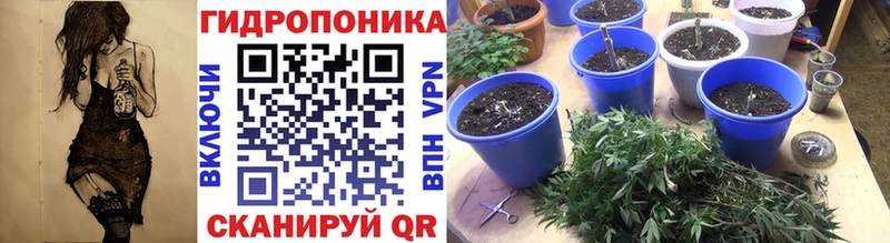 Бошки Шишки марихуана Балахна